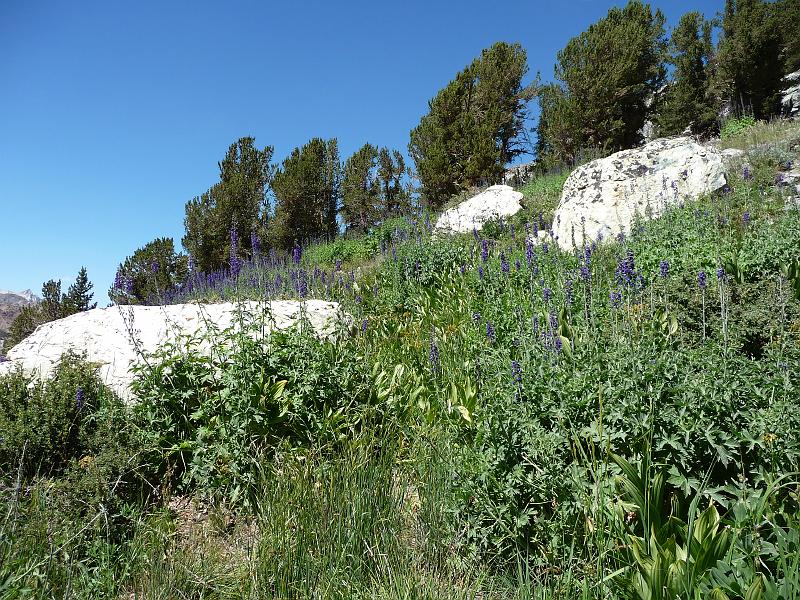 P1000038